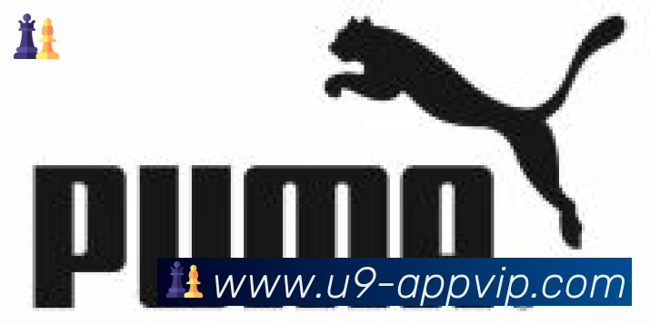 U9国际体育合作伙伴