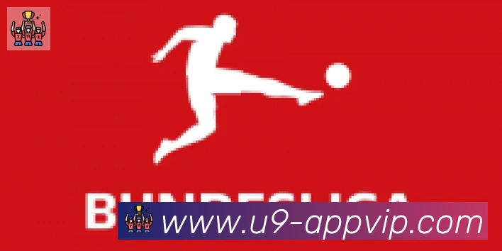 U9国际体育合作伙伴